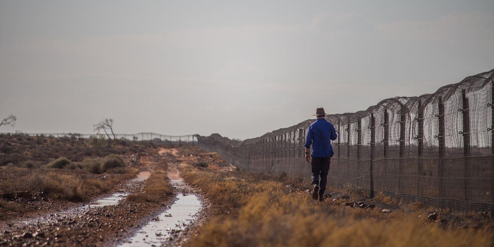 fence-check.jpg fence-check.jpg