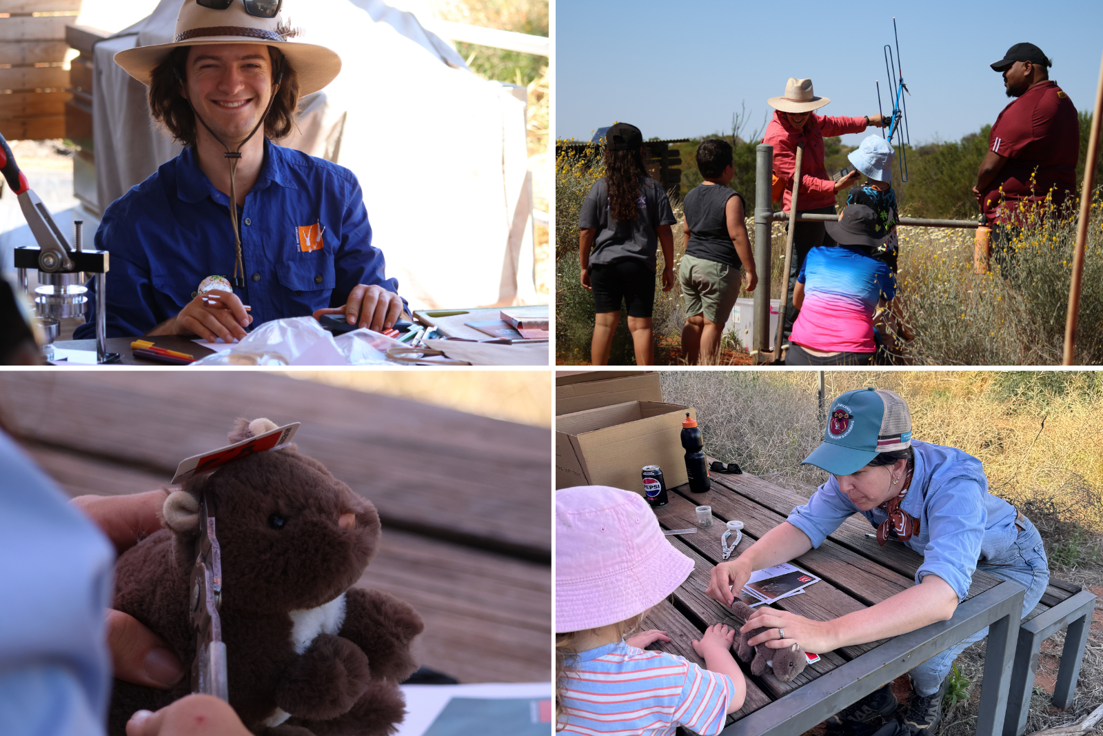 open-day-radiotracking-and-bettongs.png